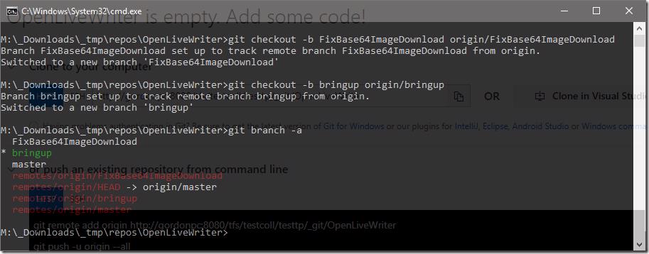 Git checkout branches and branch -a command output