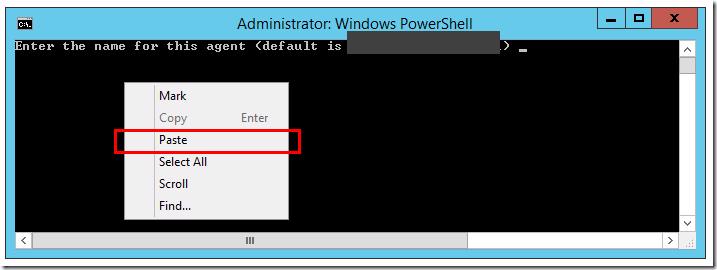 TFS Build agent pasting configuration into command prompt