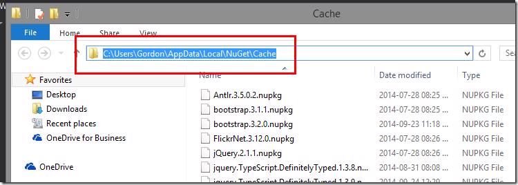 Windows Explorer showing NuGet cache path