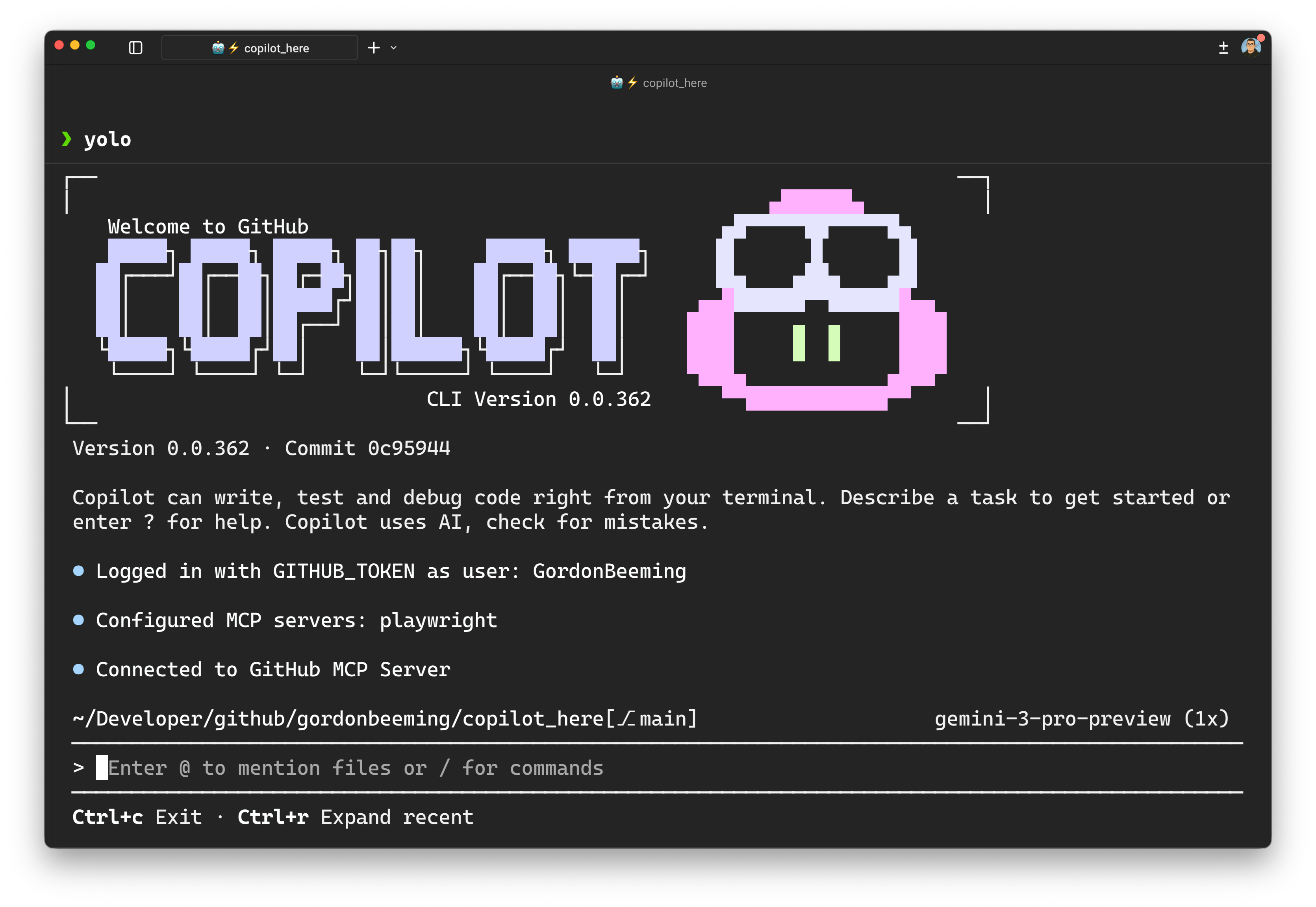 Terminal showing the Docker container startup for the Copilot CLI sandbox.