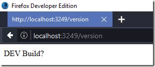 Local build: Displaying assembly information in the console.